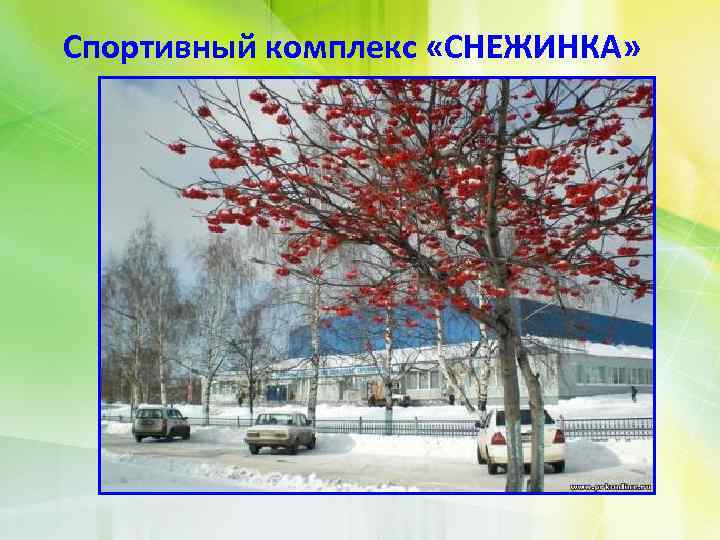 Спортивный комплекс «СНЕЖИНКА» 