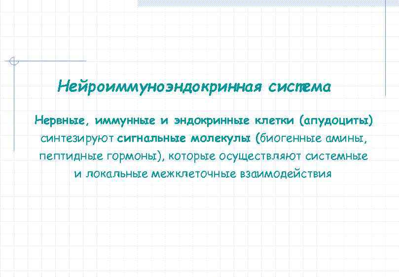 Нейроиммуноэндокринная система Нервные, иммунные и эндокринные клетки (апудоциты) синтезируют сигнальные молекулы (биогенные амины, пептидные