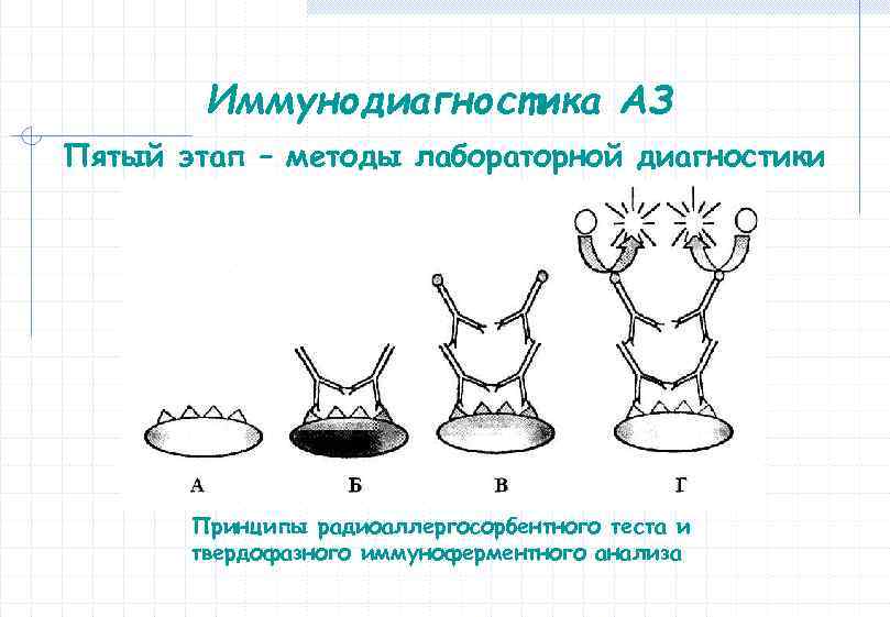 Иммунодиагностика АЗ Пятый этап – методы лабораторной диагностики Принципы радиоаллергосорбентного теста и твердофазного иммуноферментного