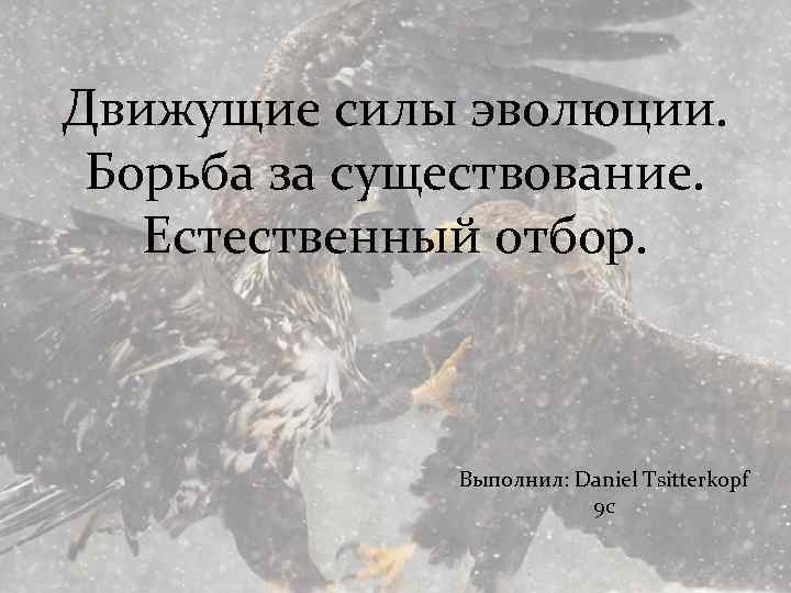 Движущие силы эволюции. Борьба за существование. Естественный отбор. Выполнил: Daniel Tsitterkopf 9 c 