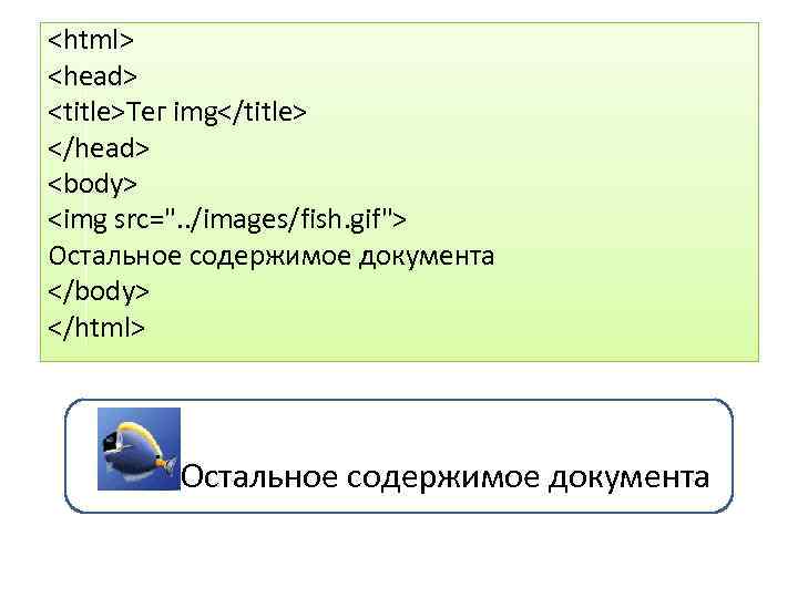 <html> <head> <title>Тег img</title> </head> <body> <img src=". . /images/fish. gif"> Остальное содержимое документа