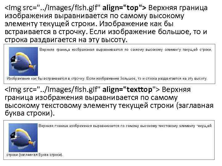 <img src=". . /images/fish. gif" align="top"> Верхняя граница изображения выравнивается по самому высокому элементу