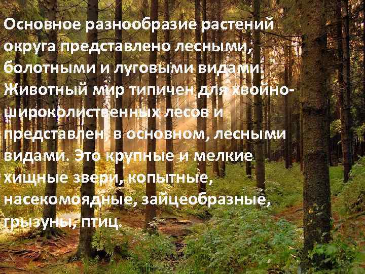 Основное разнообразие растений округа представлено лесными, болотными и луговыми видами. Животный мир типичен для