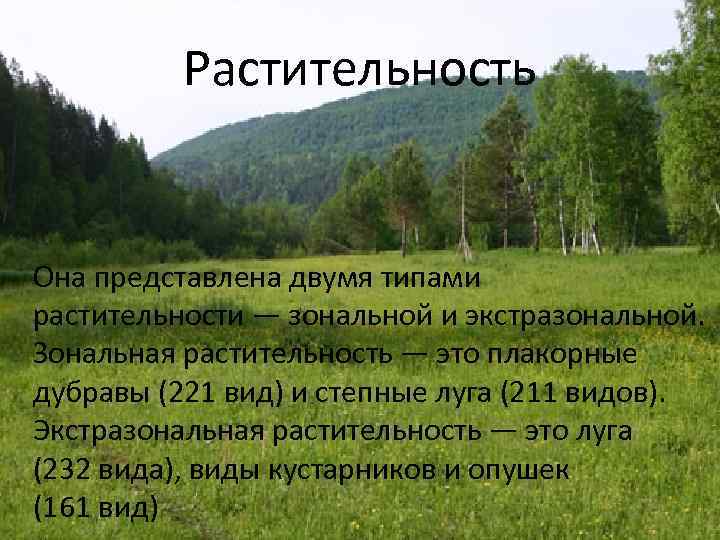 Растительность Она представлена двумя типами растительности — зональной и экстразональной. Зональная растительность — это