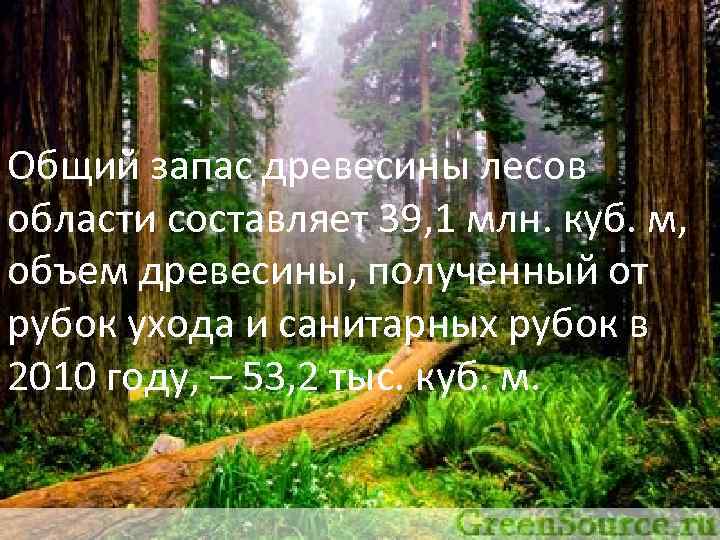 Общий запас древесины лесов области составляет 39, 1 млн. куб. м, объем древесины, полученный