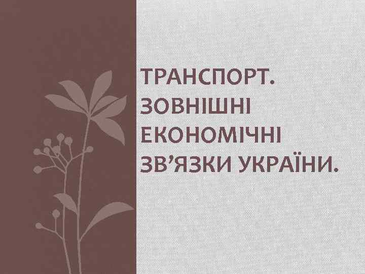 ТРАНСПОРТ. ЗОВНІШНІ ЕКОНОМІЧНІ ЗВ’ЯЗКИ УКРАЇНИ. 