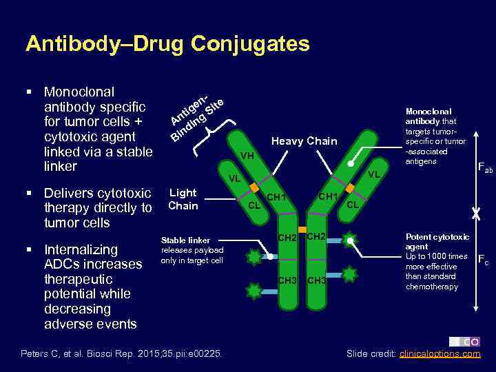 Antibody–Drug Conjugates § Monoclonal antibody specific for tumor cells + cytotoxic agent linked via