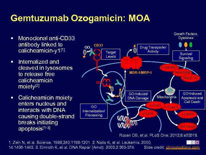 Gemtuzumab Ozogamicin: MOA § Monoclonal anti-CD 33 antibody linked to calicheamicin-y 1[1] Growth Factors,