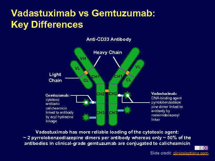 Vadastuximab vs Gemtuzumab: Key Differences Anti-CD 33 Antibody Heavy Chain VH VL VL Light