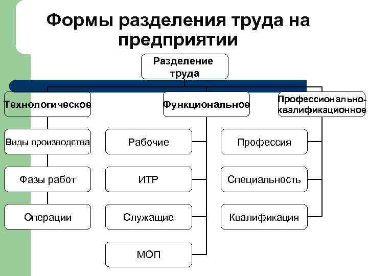 Формы разделения труда на предприятии Разделение труда Технологическое Функциональное Профессиональноквалификационное Виды производства Рабочие Профессия