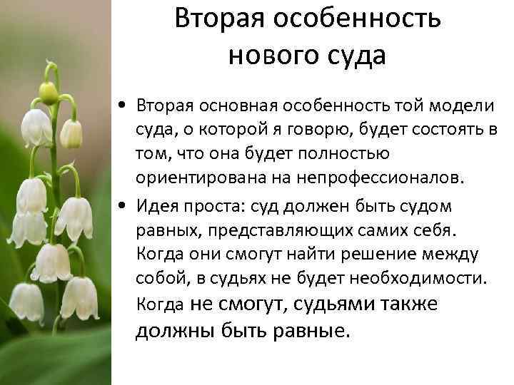 Вторая особенность нового суда • Вторая основная особенность той модели суда, о которой я