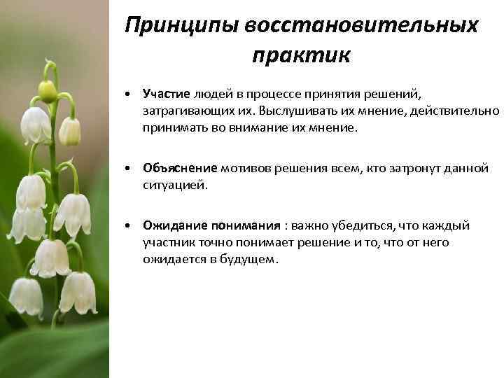 Принципы восстановительных практик • Участие людей в процессе принятия решений, затрагивающих их. Выслушивать их