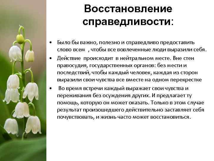 Восстановление справедливости: • Было бы важно, полезно и справедливо предоставить слово всем , чтобы