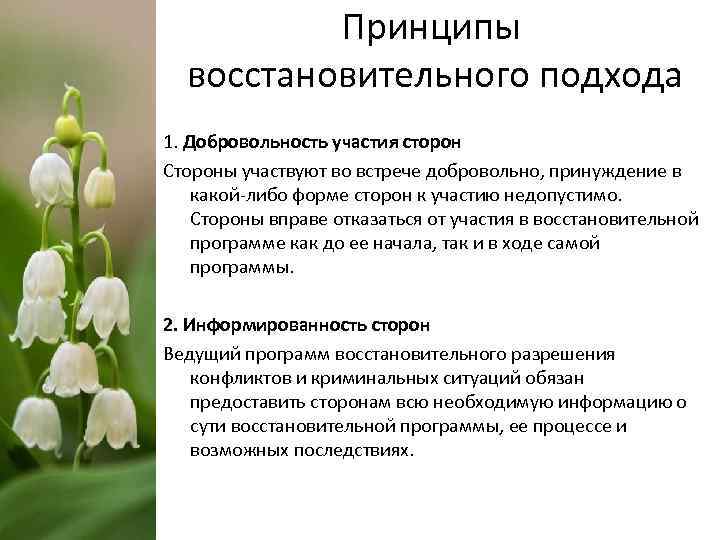 Принципы восстановительного подхода 1. Добровольность участия сторон Стороны участвуют во встрече добровольно, принуждение в