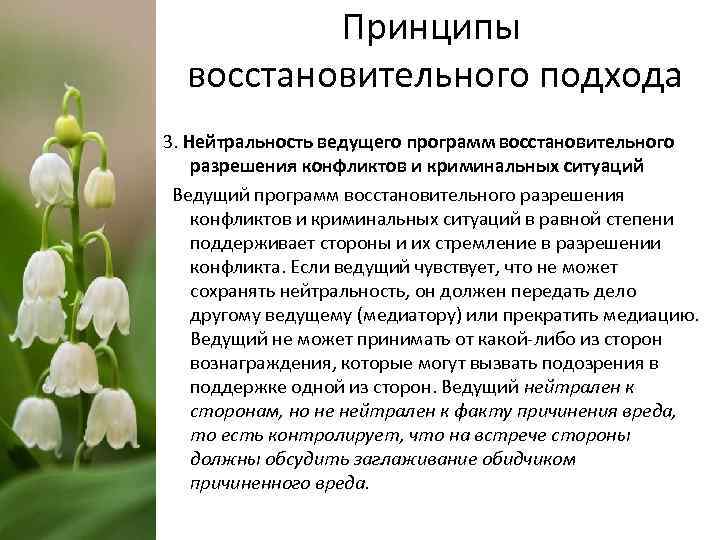 Принципы восстановительного подхода 3. Нейтральность ведущего программ восстановительного разрешения конфликтов и криминальных ситуаций Ведущий