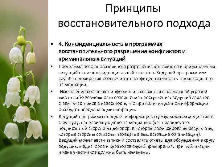 Принципы восстановительного подхода • 4. Конфиденциальность в программах восстановительного разрешения конфликтов и криминальных ситуаций