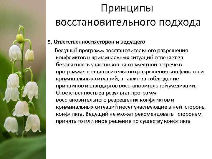 Принципы восстановительного подхода 5. Ответственность сторон и ведущего Ведущий программ восстановительного разрешения конфликтов и