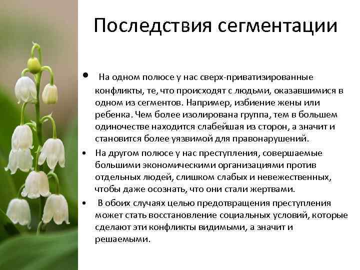 Последствия сегментации • На одном полюсе у нас сверх-приватизированные конфликты, те, что происходят с