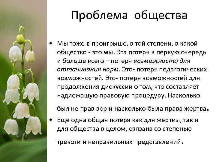 Проблема общества • Мы тоже в проигрыше, в той степени, в какой общество -