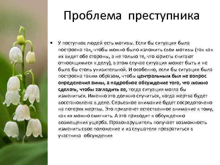 Проблема преступника • У поступков людей есть мотивы. Если бы ситуация была построена так,