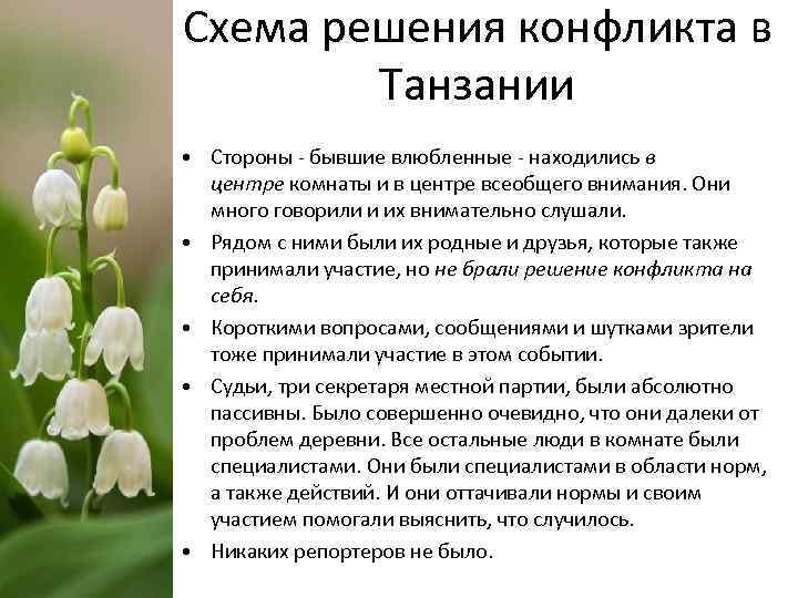 Схема решения конфликта в Танзании • Стороны - бывшие влюбленные - находились в центре