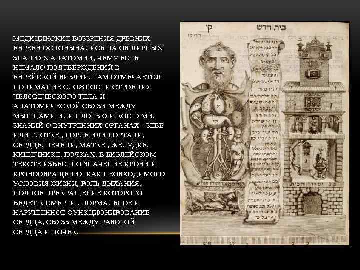 МЕДИЦИНСКИЕ ВОЗЗРЕНИЯ ДРЕВНИХ ЕВРЕЕВ ОСНОВЫВАЛИСЬ НА ОБШИРНЫХ ЗНАНИЯХ АНАТОМИИ, ЧЕМУ ЕСТЬ НЕМАЛО ПОДТВЕРЖДЕНИЙ В