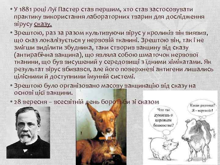  • У 1881 році Луї Пастер став першим, хто став застосовувати практику використання