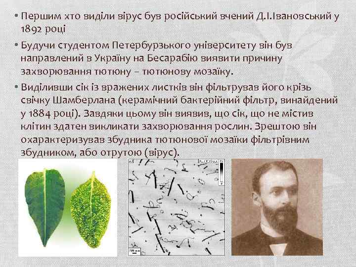  • Першим хто виділи вірус був російський вчений Д. І. Івановський у 1892