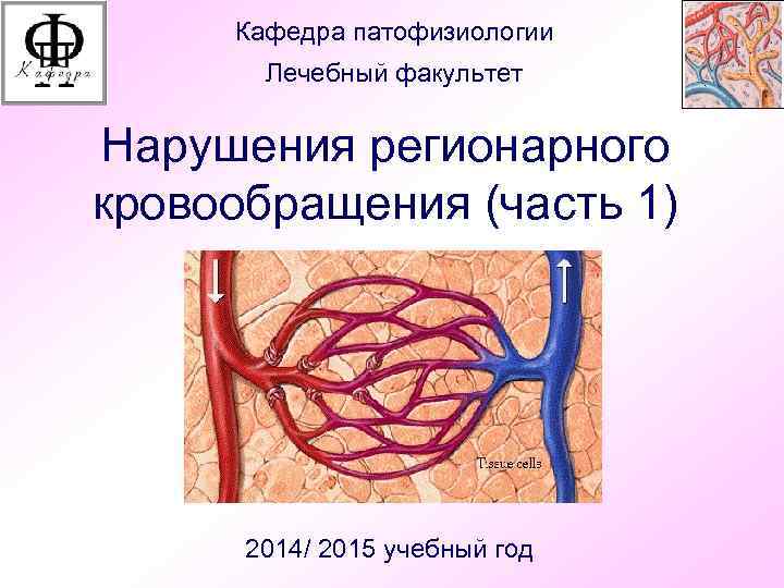 Кафедра патофизиологии Лечебный факультет Нарушения регионарного кровообращения (часть 1) 2014/ 2015 учебный год 