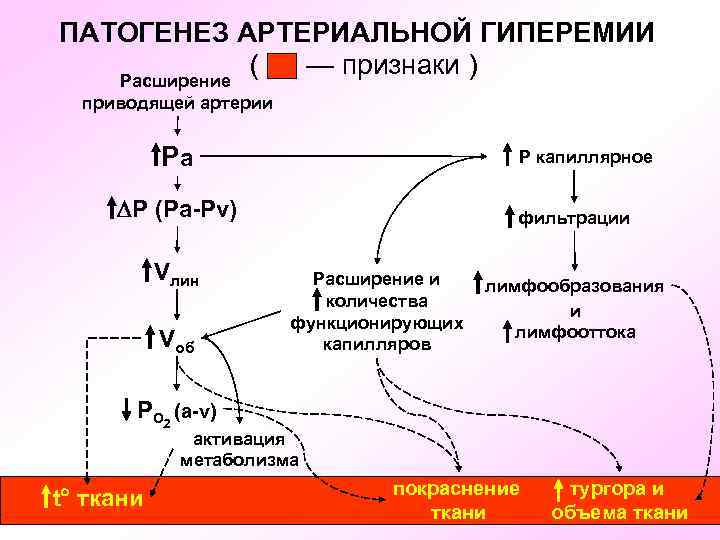 ПАТОГЕНЕЗ АРТЕРИАЛЬНОЙ ГИПЕРЕМИИ ( — признаки ) Расширение приводящей артерии Ра Р капиллярное Р