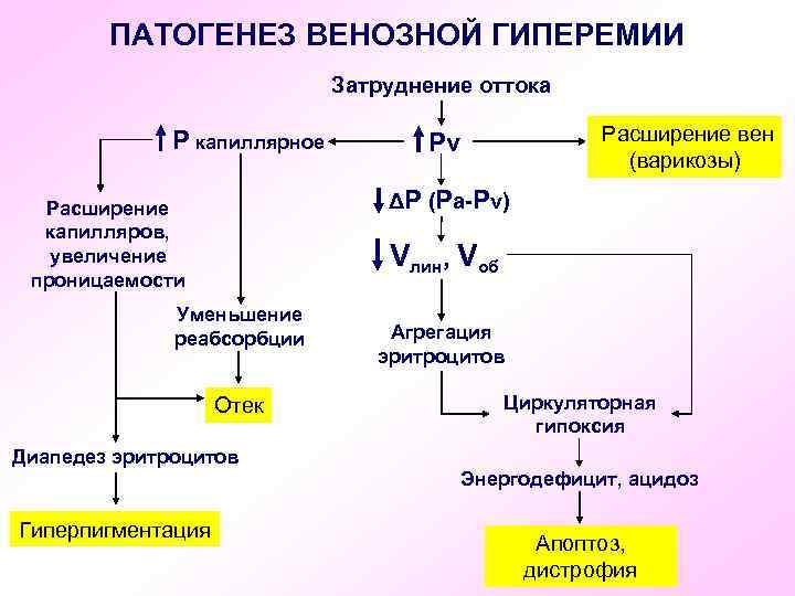 ПАТОГЕНЕЗ ВЕНОЗНОЙ ГИПЕРЕМИИ Затруднение оттока Р капиллярное Расширение вен (варикозы) Рv ΔР (Ра-Рv) Расширение