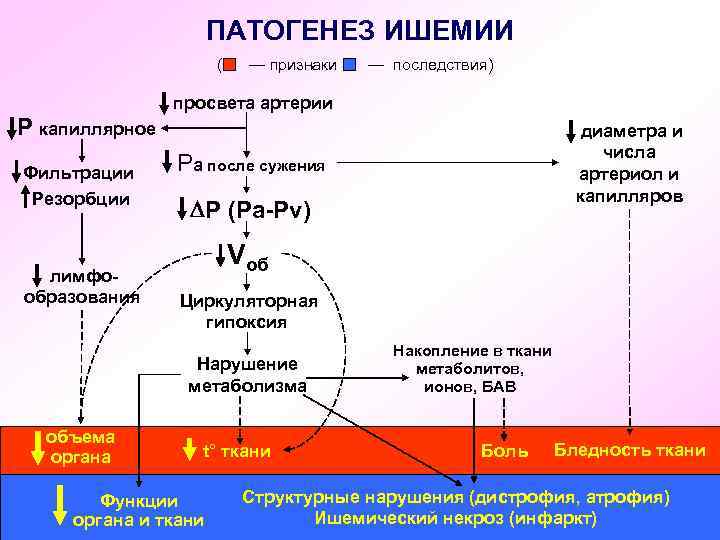 ПАТОГЕНЕЗ ИШЕМИИ ( — признаки — последствия) просвета артерии Р капиллярное Фильтрации Резорбции лимфообразования
