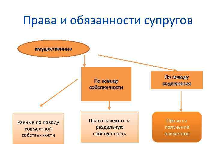 Презентация на тему права и обязанности супругов