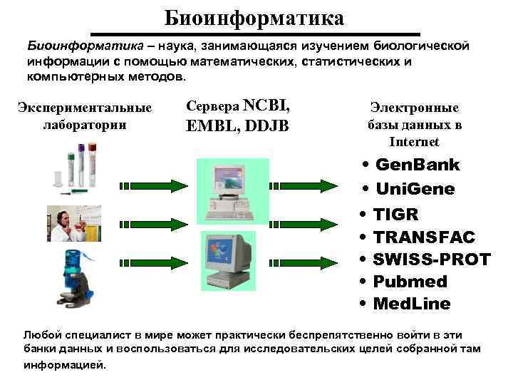 Презентация по биоинформатике