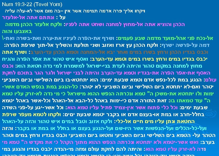  ) Num 19: 3 -22 (Tevel Yom ויקחו אליך פרה אדמה תמימה אשר