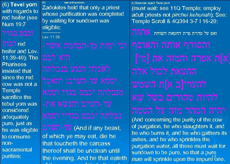 (6) Tevel yom with regards to red heifer (see Num 19: 7 וכבס בגדיו