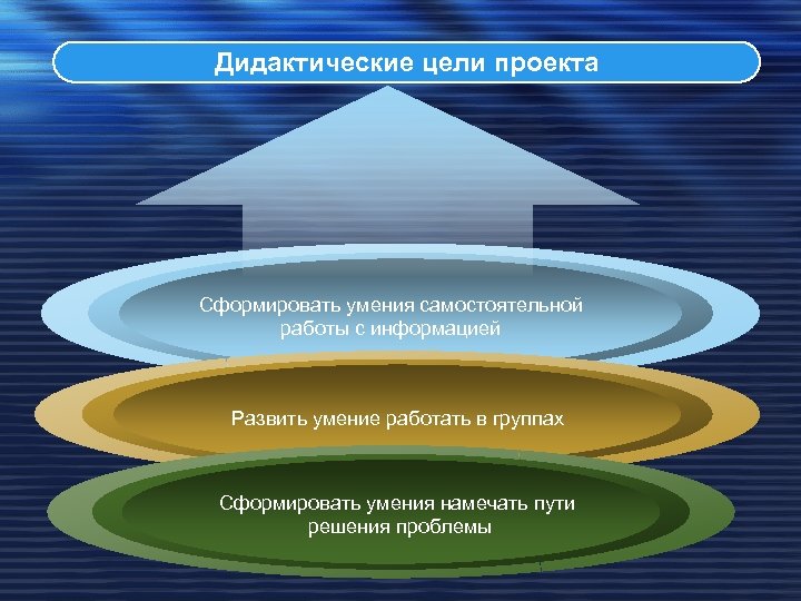 Дидактические цели проекта Сформировать умения самостоятельной работы с информацией Развить умение работать в группах