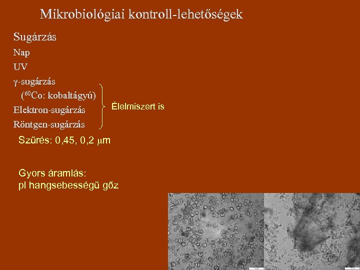 Mikrobiológiai kontroll-lehetőségek Sugárzás Nap UV g-sugárzás (60 Co: kobaltágyú) Elektron-sugárzás Röntgen-sugárzás Élelmiszert is Szűrés: