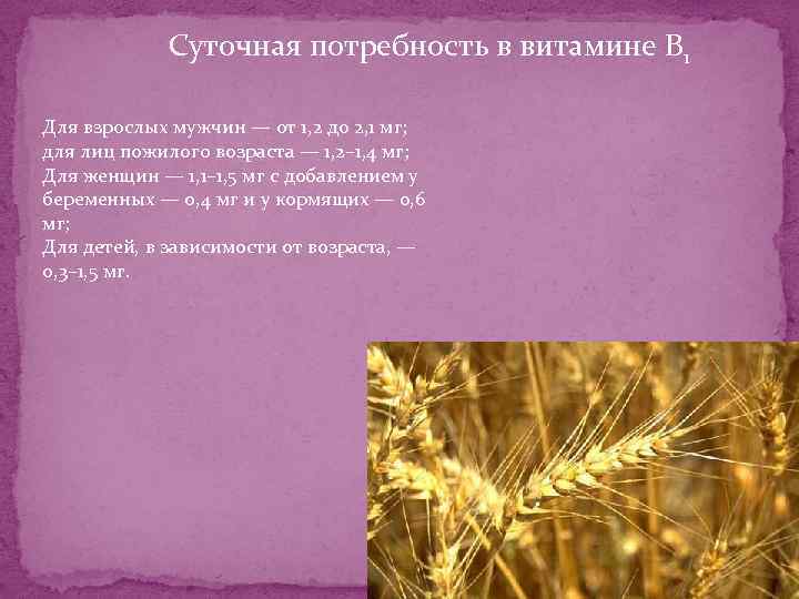 Суточная потребность в витамине B 1 Для взрослых мужчин — от 1, 2 до