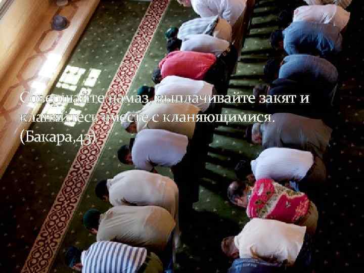 Совершайте намаз, выплачивайте закят и кланяйтесь вместе с кланяющимися. (Бакара, 43) 