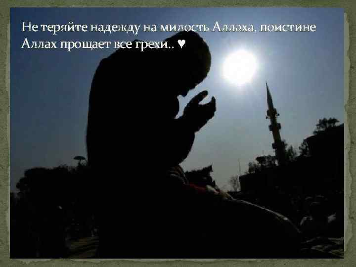 Не теряйте надежду на милость Аллаха, поистине Аллах прощает все грехи. . ♥ 