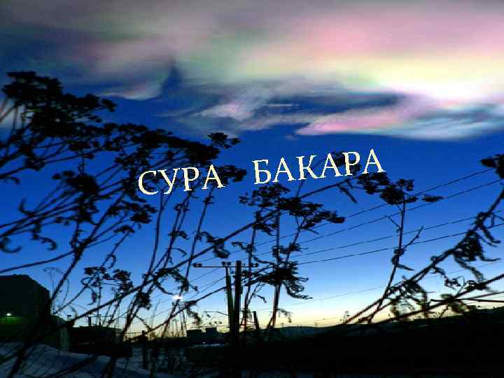 КАРА УРА БА С 