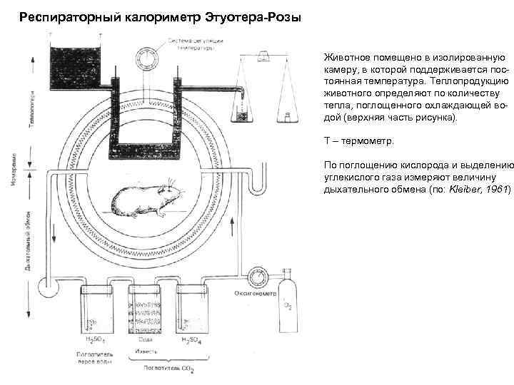 Респираторный калориметр Этуотера-Розы Животное помещено в изолированную камеру, в которой поддерживается постоянная температура. Теплопродукцию