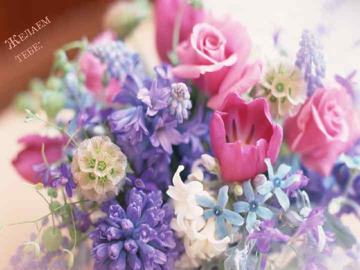 М Ж АЕ Л Е Т Е ЕБ : 