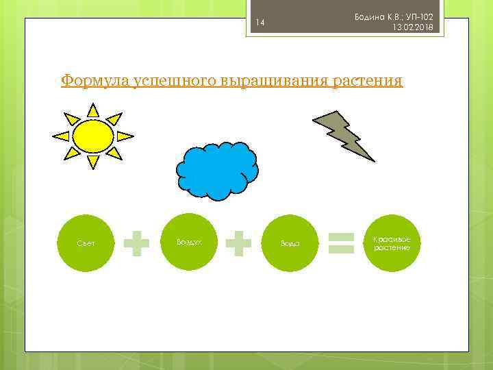 Бодина К. В. ; УП-102 13. 02. 2018 14 Формула успешного выращивания растения Свет