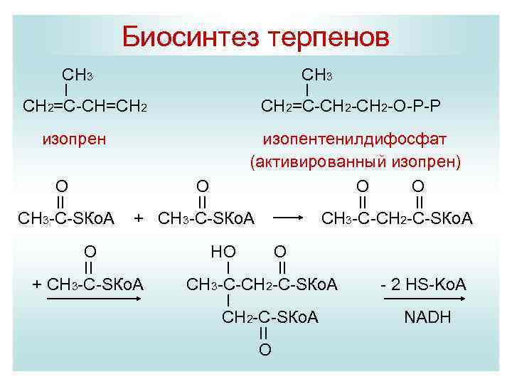 Ch3 ch2 ch2 ch3 уравнение