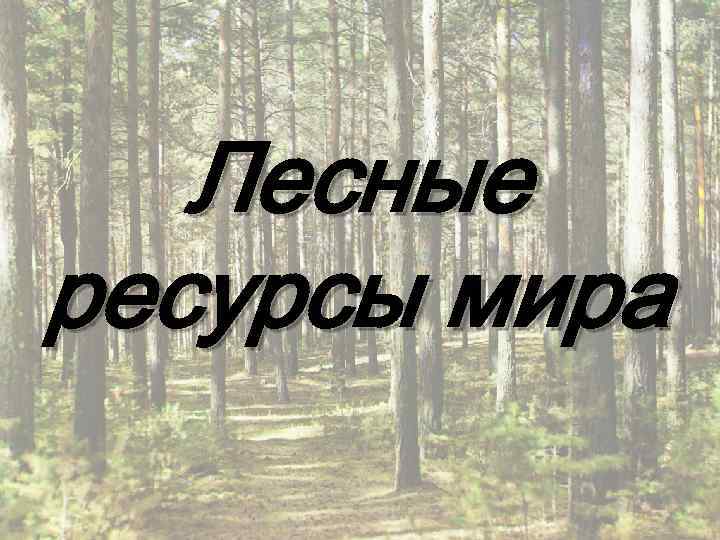 Презентация урок лесные ресурсы