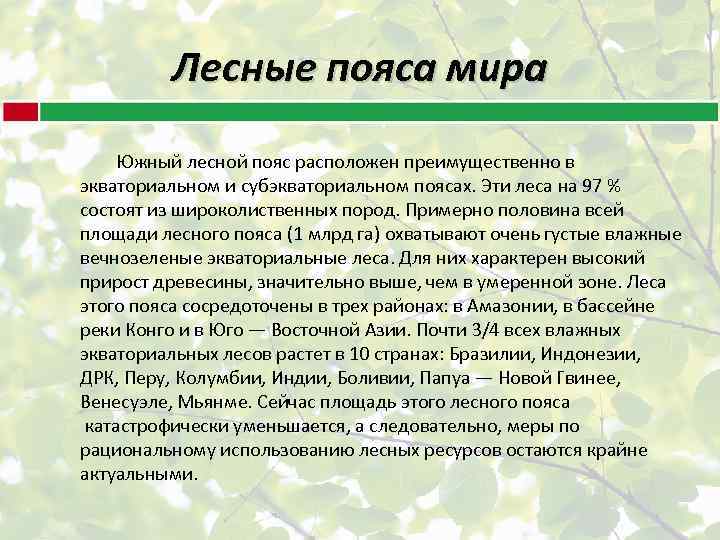 Лесные пояса мира Южный лесной пояс расположен преимущественно в экваториальном и субэкваториальном поясах. Эти