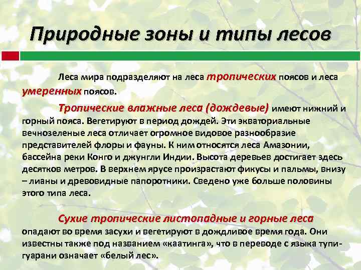 Природные зоны и типы лесов Леса мира подразделяют на леса тропических поясов и леса