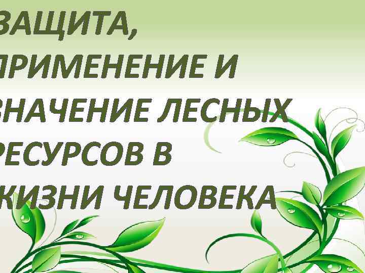 ЗАЩИТА, ПРИМЕНЕНИЕ И ЗНАЧЕНИЕ ЛЕСНЫХ РЕСУРСОВ В ЖИЗНИ ЧЕЛОВЕКА 